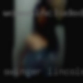 Swinger Lincolnton